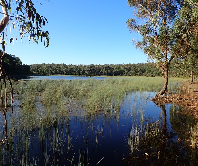 Lake Gandangarra, Thirlmere Lakes, May 2021