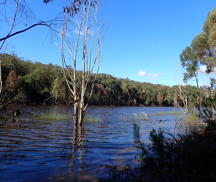 Lake Nerrigorang, Thirlmere Lakes, May 2021