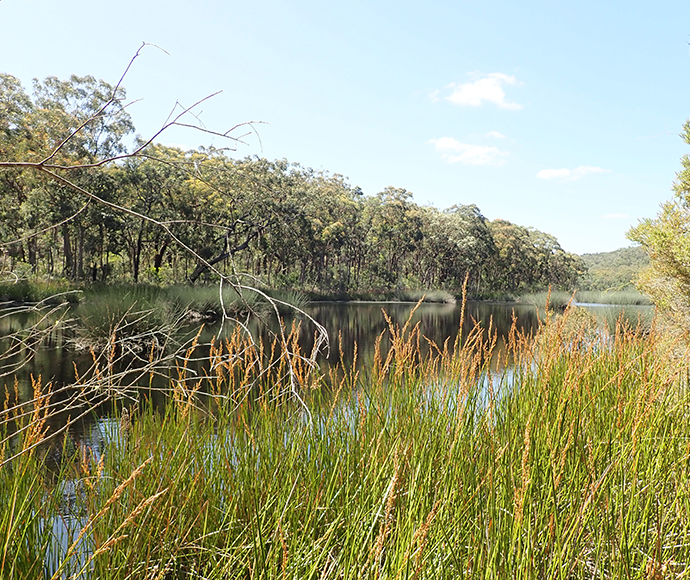 Lake Baraba, Thirlmere Lakes, January 2021