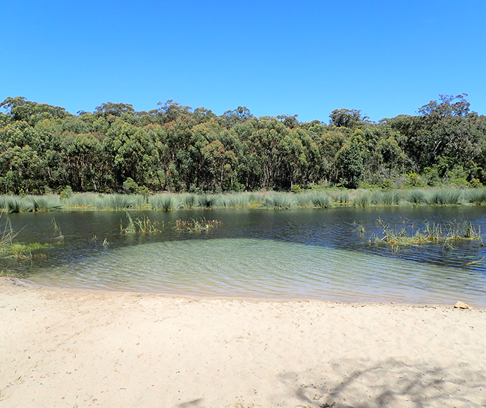 Lake Couridjah, Thirlmere Lakes, January 2021