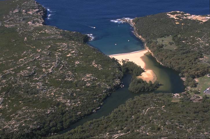 Aerial view of Wattamolla Creek, which flows into a bay. The creek is surrounded by lush vegetation, with sandy areas near the point where it meets the larger water body.