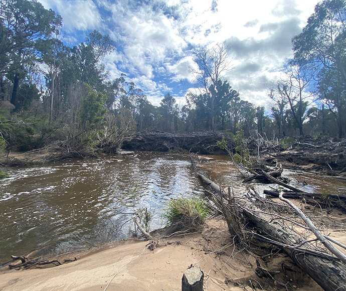 Post-fire log jam and sediment slug in the Wonboyn River. 