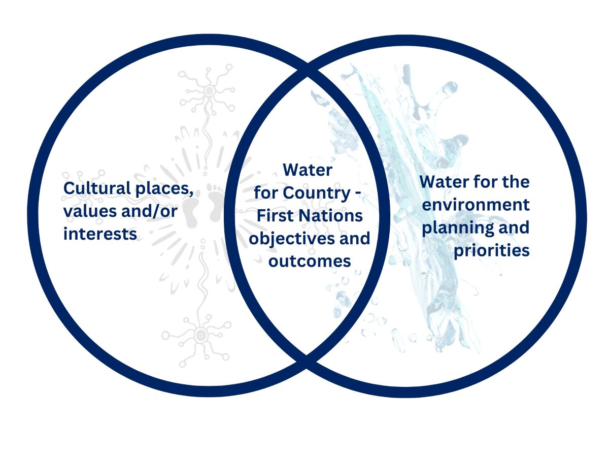 An infographic showing Aboriginal people's priorities in water management