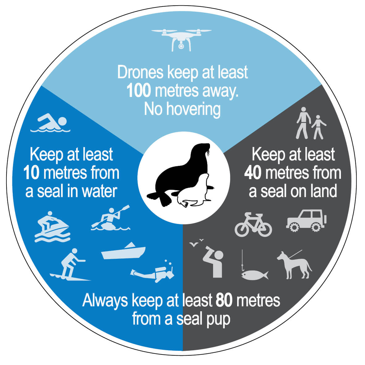 A graphic showing approach distances for seals.