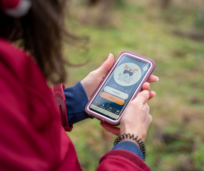 Person with long hair wearing a pink jacket and blue jumper, using a mobile smart phone with an app screen showing the Butterflies Australia app