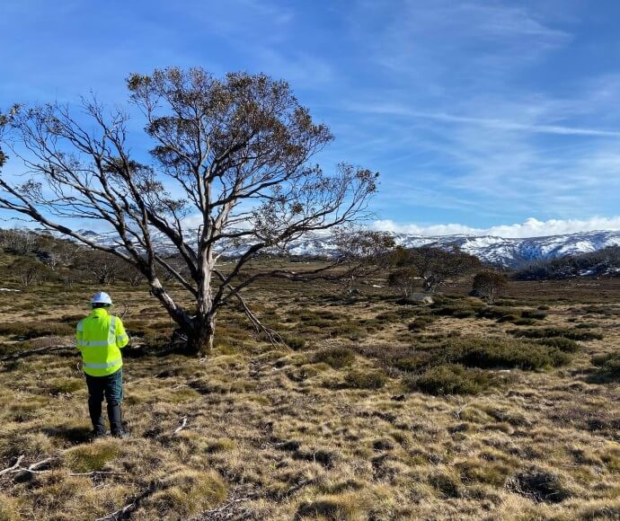 A project officer services cameras in Kosciuszko National Park 