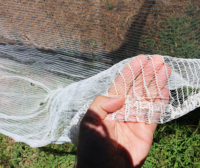 Fine mesh tree netting