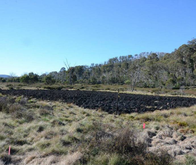 A landscape showing a contrast between a lush green forest in the background and a dark, rough-textured field in the foreground, possibly indicating recent volcanic activity. The sky is clear and blue. There are markers with red tops visible on the ground, suggesting measurement or research work.