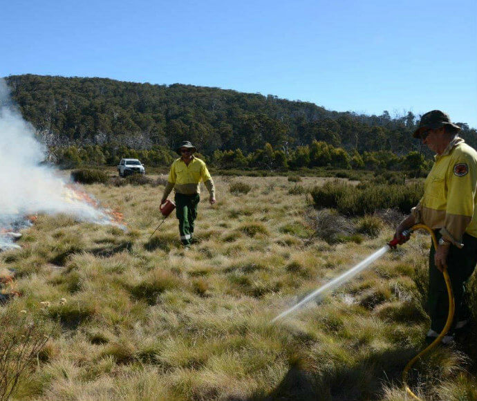 Two NPWS rangers conducting a burn in a grassy field. One has a drip torch and the other is holding a fire hose.