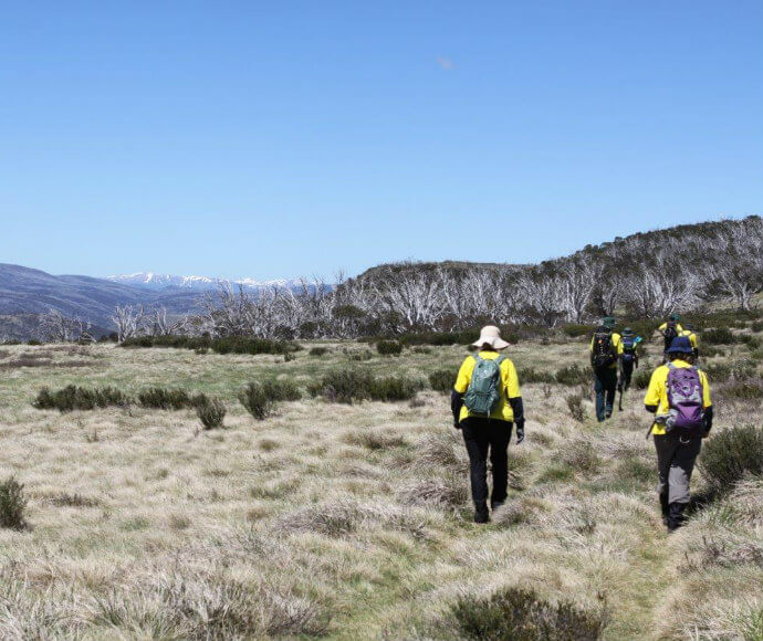 A group of NPWS staff and volunteers with backpacks walking through a grassy field with scattered bushes, heading towards a mountain range in the distance under a clear blue sky.