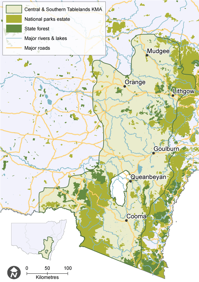 Map showing the extent of the Central and Southern Tablelands Koala Management Area (KMA), with national parks, state forests, major waterways and roads.