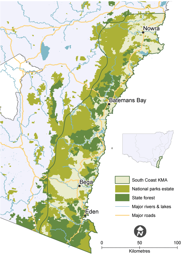 Map showing the extent of the South Coast Koala Management Area (KMA), with national parks, state forests, major waterways and roads in various shades of green.