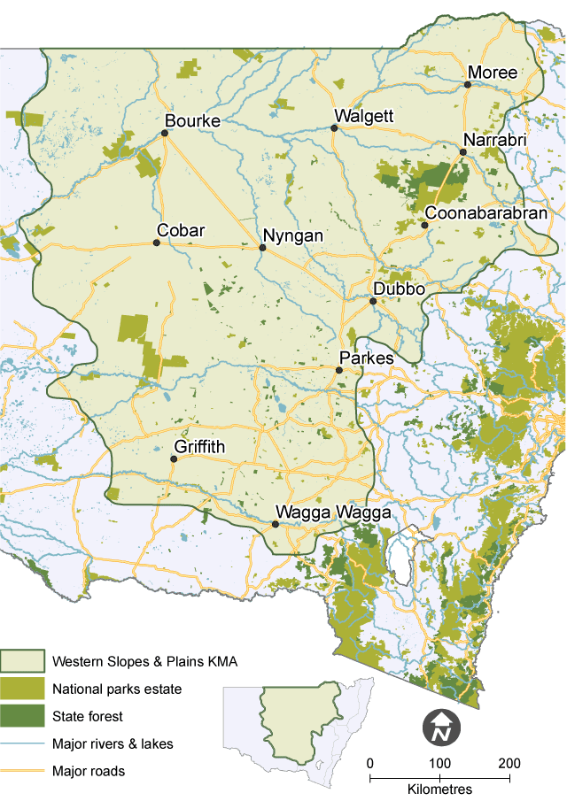 Map showing the extent of the Western Slopes and Plains Koala Management Area (KMA), with national parks, state forests, major waterways and roads.