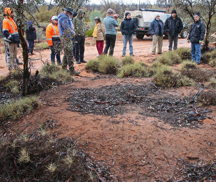 A group of people stand in the background inspecting a malleefowl mound which is in the foreground