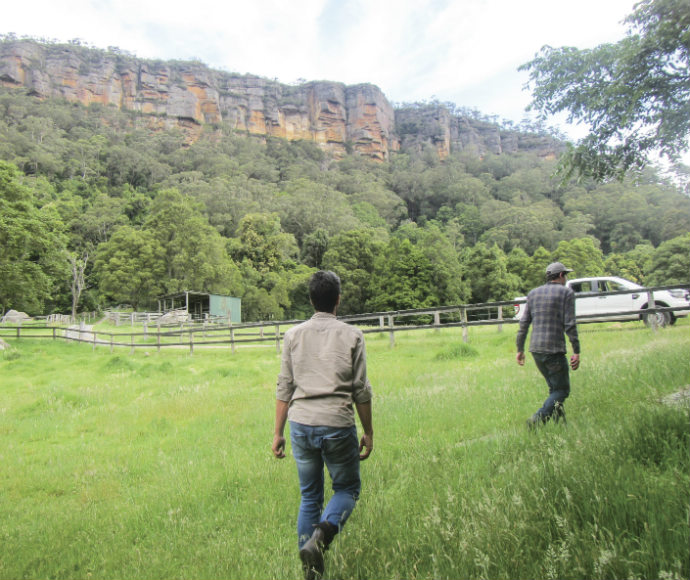 Staff and volunteers survey private property during a Quollidor BioBlitz event, walking across a grassy field towards a fenced area with a vehicle parked nearby. A large cliff with exposed rock faces and lush greenery is visible in the background.