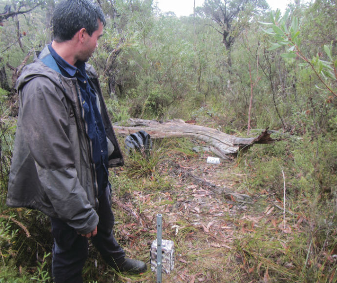 Staff standing in a natural bushland setting inspecting a monitoring station. The environment is dense with green shrubbery and fallen branches, indicative of active conservation efforts within the Barren Grounds Budderoo Quollidor.