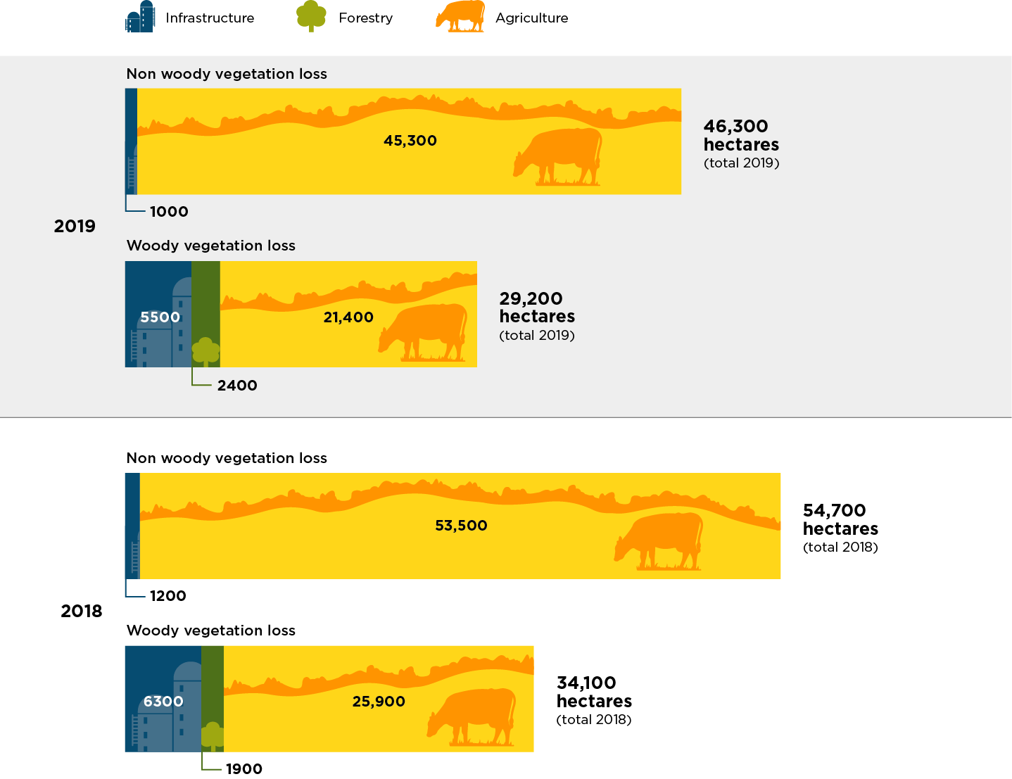 Infographic representing woody and non woody vegetation loss on rural regulated land in 2018 and 2019 according to landcover classes: agriculture, forestry and infrastructure.