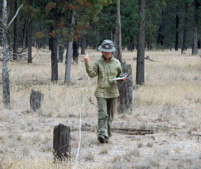 Scientist testing, analysing and recording soil and vegetation profiles, Wilbertroy Flora Reserve