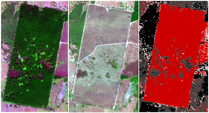 Three satellite images green on left before clearing of land middle image in grey showing after clearing and red image on right showing SLATS change