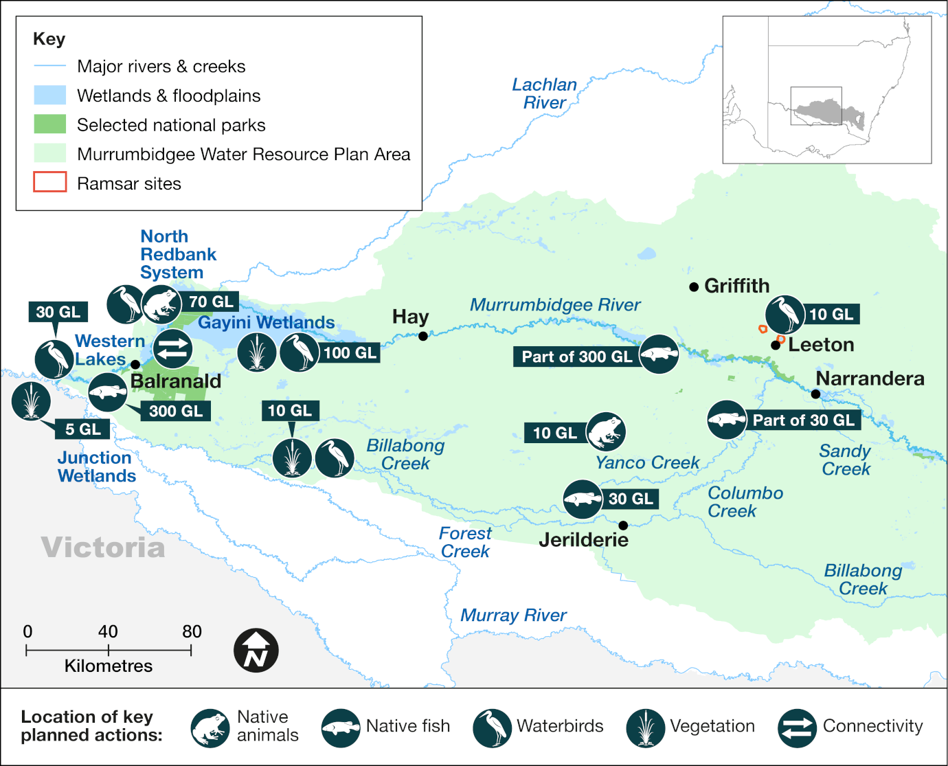 Map of the Murrumbidgee catchment area showing priority targets and volumes of environmental water to be delivered in 2024-25. The map includes icons to indicate locations of planned water releases that aim to support water-dependent native animals, native fish breeding and dispersal, waterbirds, vegetation, and improve river channel condition and connectivity.