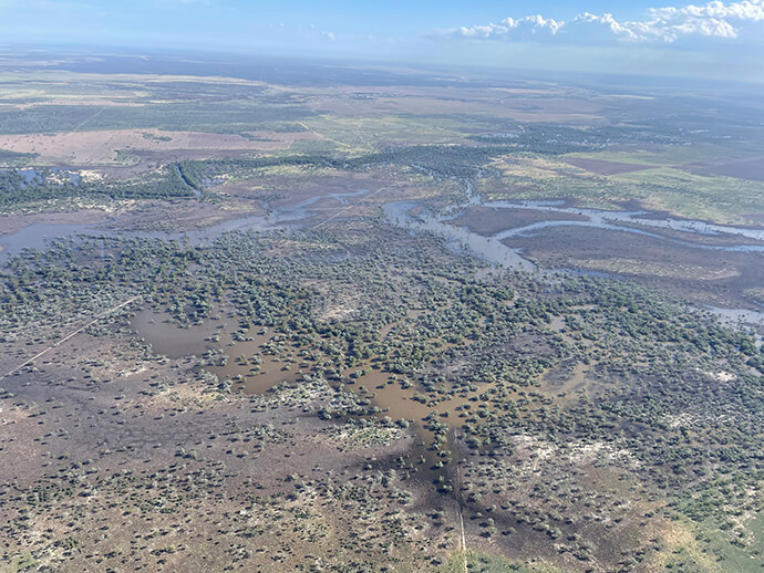 Aerial view of the Barwon River in flood at Macquarie junction. The river’s branches spread out across the semi-arid landscape, with green vegetation dotting the terrain. The image highlights the significant impact of the flooding, emphasizing the contrast between the dry land and the life-sustaining river. This flooding is part of a larger event affecting areas downstream, including Mungindi and Walgett Shire, due to the combined flows from the Darling, Macquarie, Bogan, and Culgoa Rivers.