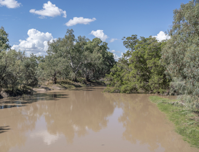 Still water in a muddy brown river