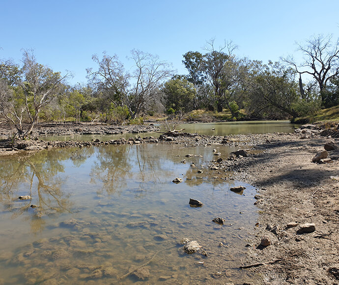 Natural outdoor scene featuring the Barwon River downstream of Collarenebri Weir. It is under a clear blue sky during daytime.