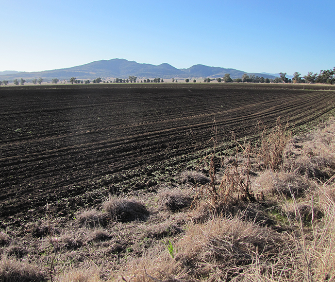 A recently ploughed field of black soil near Quirindi is seen from a fence line.