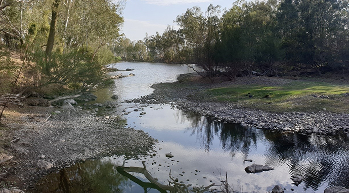 The Dumaresq River winding through a serene landscape in the Border Rivers catchment area, with a mix of calm water surfaces and rocky riverbanks flanked by lush greenery.