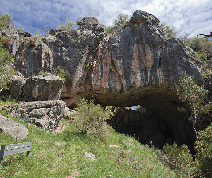 A rock face in the Borenore Karst Conservation Reserve