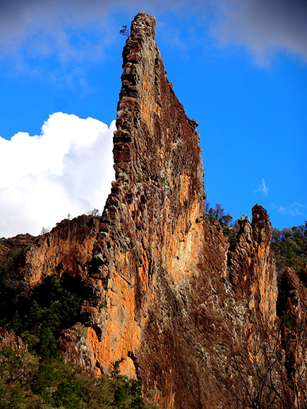 The Breadknife, a tall, thin and flat mountain peak, against a blue sky in the Warrumbungle National Park