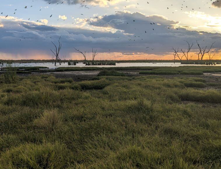 Goddards Lease Ramsar site, Gingham Watercourse, Gwydir Wetlands State Conservation Area