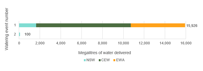 Bar chart showing a summary of 16,026 megalitres of water delivery to the Gwydir catchment in the 2019-20 water year.