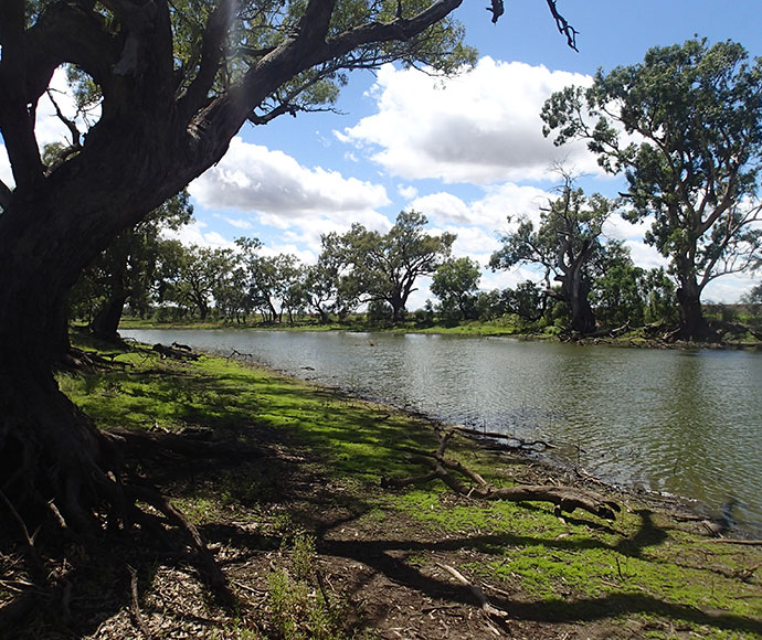 Whittaker's Lagoon