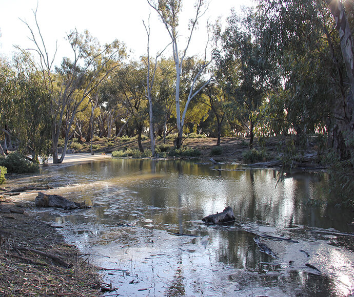 Gwynnes Creek Deniliquin in the Wakool district NSW