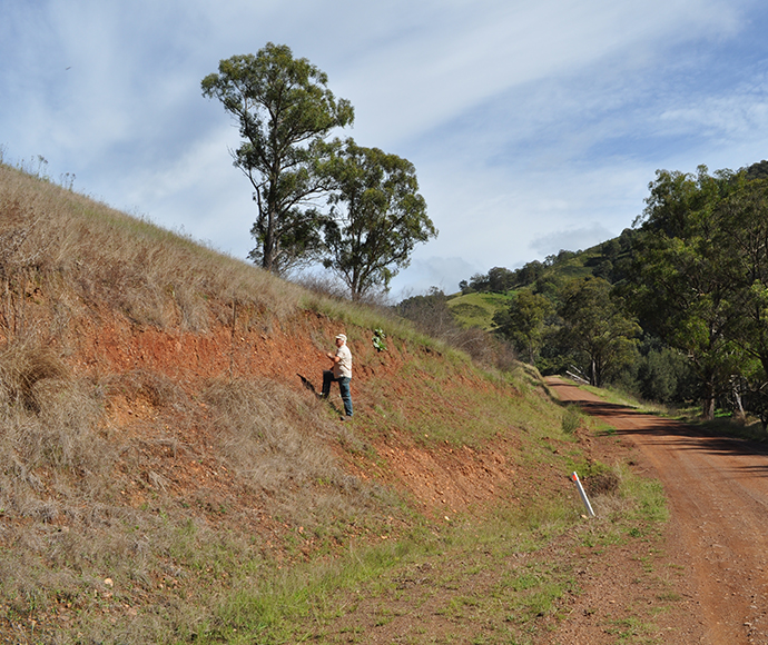 Soil scientist describing soil in the field, Hunter Valley region