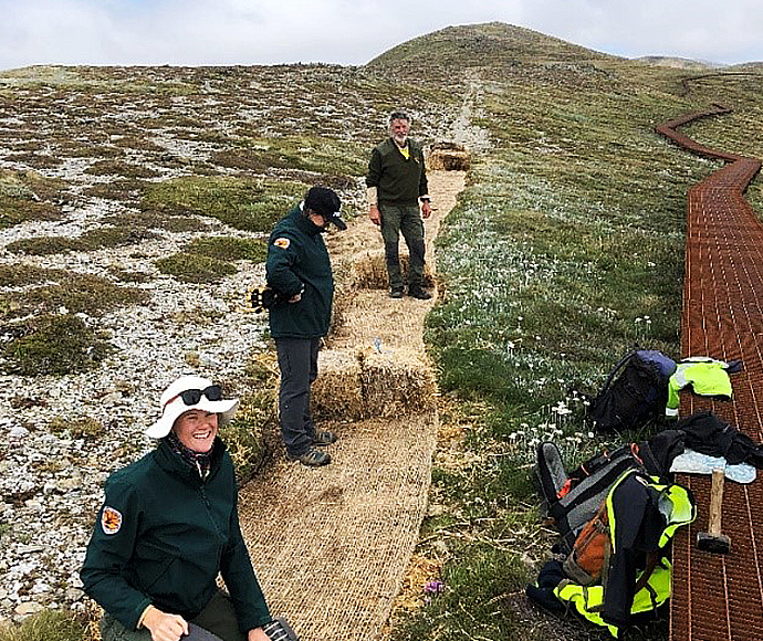 Windswept Feldmark on Mount Lee is being actively rehabilitated after the Main Range walk was diverted, before rehabilitation.