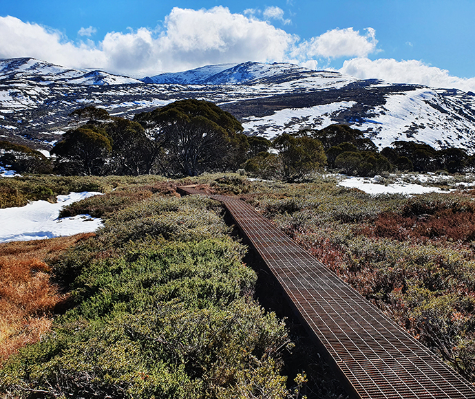 Steel mesh walkway on the Guthega to Charlotte Pass track.