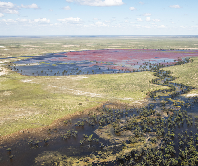 Aerial view of a wetland ecosystem with vibrant red vegetation, winding waterways, and expansive green fields.