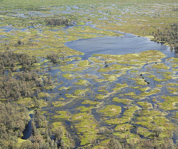 Aerial view of a wetland ecosystem showing a complex network of water bodies interspersed with green vegetation patches and landforms, highlighting the biodiversity and the intricate natural water filtration system.