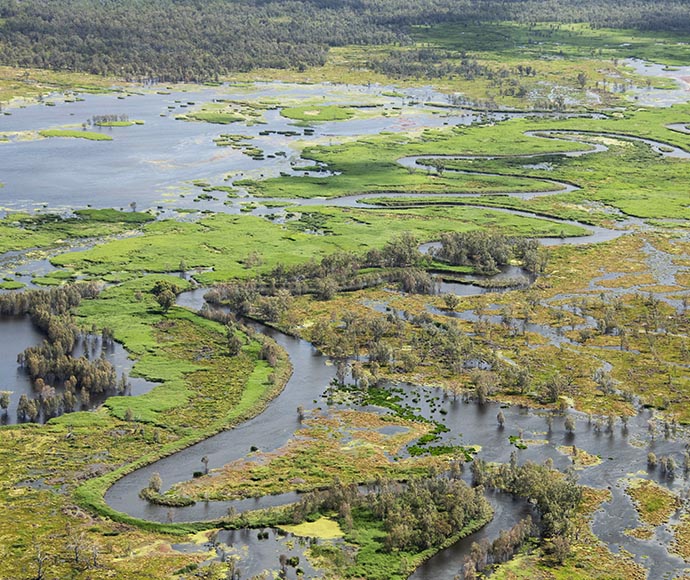 Aerial view of a winding river meandering through a lush wetland with patches of water, dense green vegetation, and multiple branching streams creating a complex natural pattern.