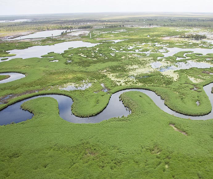 Aerial view of a wetland ecosystem with meandering water channels and lush green vegetation. The landscape is dotted with numerous ponds and marshy areas, providing a habitat for diverse wildlife. The winding waterways create an intricate pattern amidst the verdant flora, highlighting the natural beauty and complexity of wetland environments.