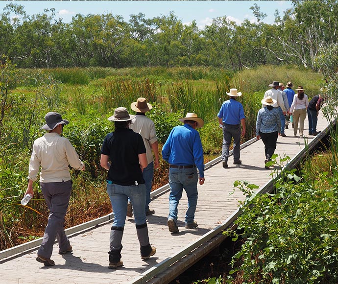 A group of people walking on a wooden boardwalk through a natural area with tall grasses and shrubs on a sunny day.