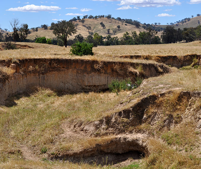  A gully in the Murray Drainage plain with highly concentrated run on sodic subsoils and gully erosion.