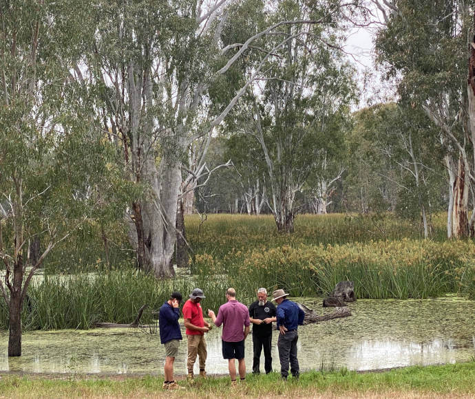 Murray and Lower Darling EWAG members at the edge of a beautiful Boomanoomana Swamp with long rushes and grasses growing out in patches and forested wetlands in the background.