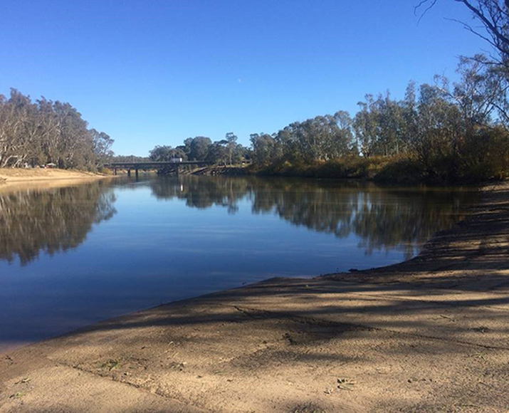 Red gums line the bank of the Murray River at Tocumwal, NSW, with a bridge in the background and boat ramp in the foreground.