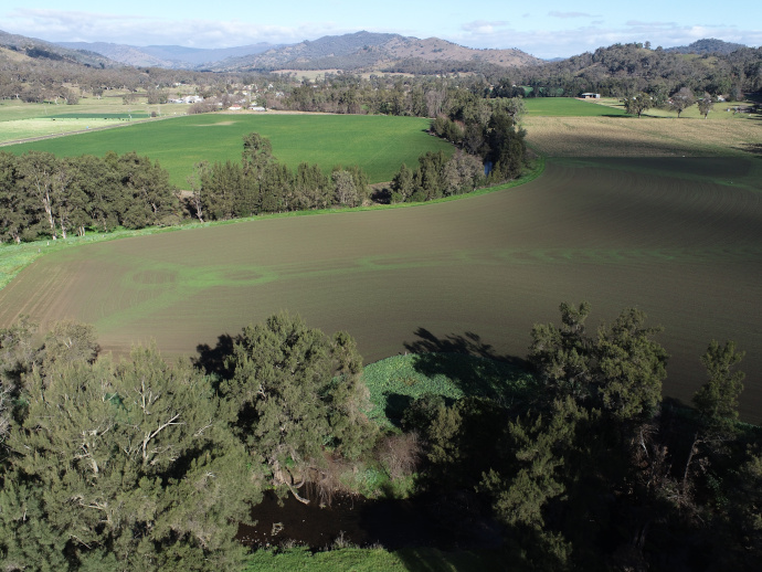 Birds eye view of the Peel River winding through the landscape. A row of trees run along both sides of the river and the flat expanse of the floodplain extends beyond the trees, and is covered in green vegetation and brown tilled soil.