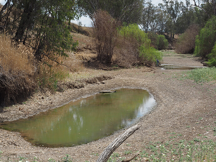 Pools of water in the Naomi dry catchment area.