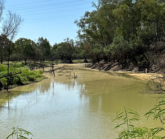 The junction of the Namoi and Barwon rivers