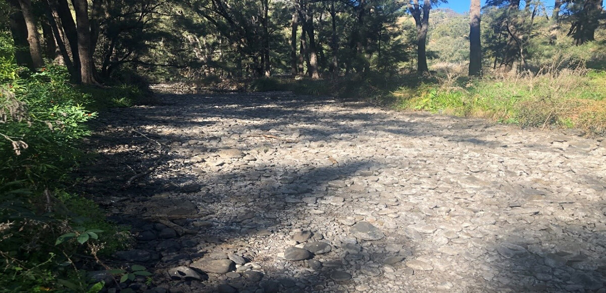 Dry riverbed of Peel River with cracked mud and scattered rocks, surrounded by green vegetation under a clear sky, indicating a period of drought before environmental water flow restoration.